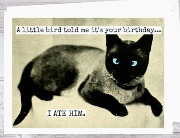 Raven's Rest Studio Cards - A Little bird told me it's your birthday