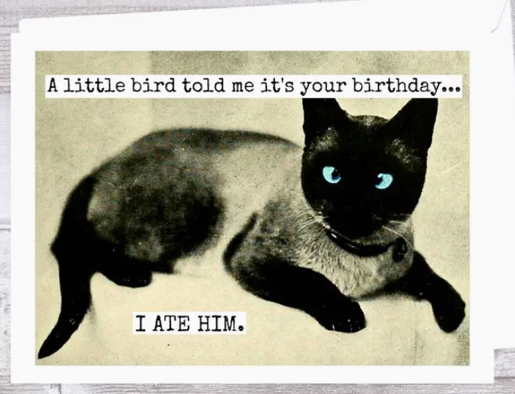 Raven's Rest Studio Cards - A Little bird told me it's your birthday