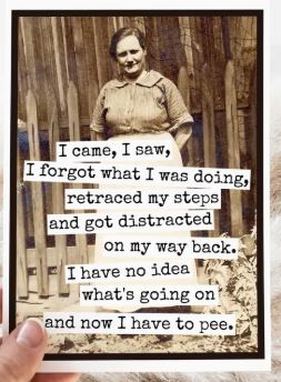 Raven's Rest Studio Card - Happy birthday. I came, I saw, I forgot what I was doing, retraced my steps and got distracted on my way back. I have no idea what's going on and now I have to pee. Vintage lady standing in front of a fence.