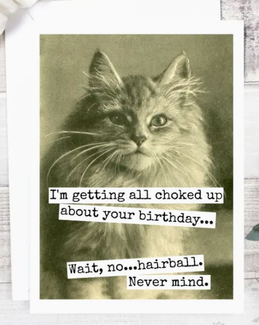 Raven's Rest Studio Greeting Card - "I'm getting all choked up about your birthday - Wait, no... hairball. Never mind." Long-haired cat in sepia vintage.