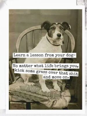 Raven's Rest Studio Greeting Card - "Learn a lesson from your dog - no matter what life brings you, kick some grass over that shit and move on." Dog sitting on a chair
