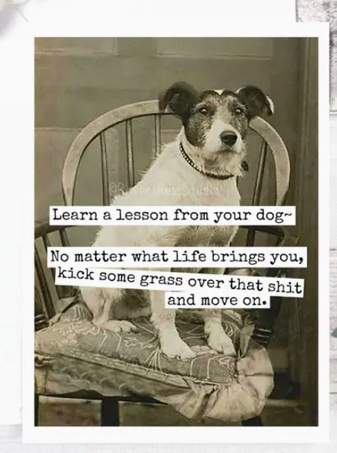 Raven's Rest Studio Greeting Card - "Learn a lesson from your dog - no matter what life brings you, kick some grass over that shit and move on." Dog sitting on a chair