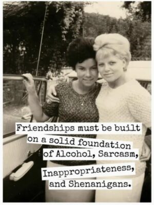 Raven's Rest Studio Cards - Friendships must be built on a solid foundation of alcohol, sarcasm, inappropriateness and shenanigans.