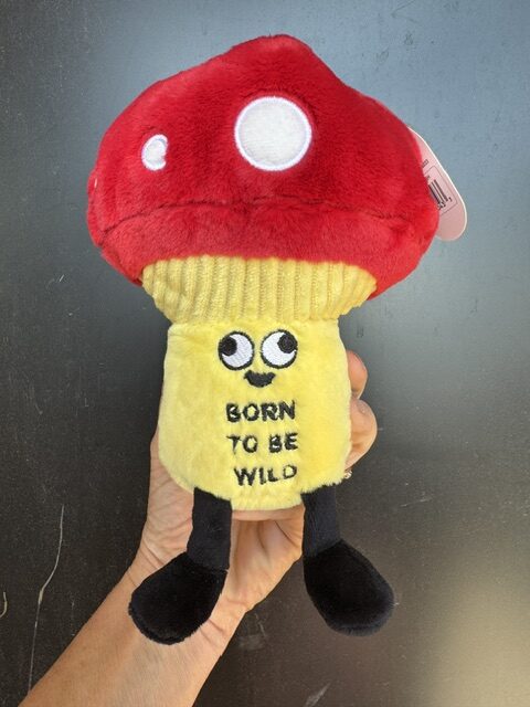 Punchkins Stuffy Born to be wild mushroom