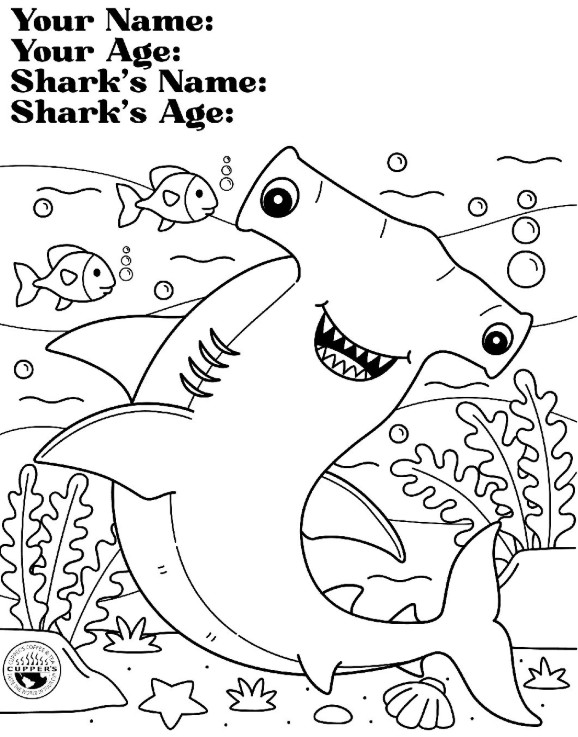 Shark Week Colouring page 2026 Sharkbite Espresso