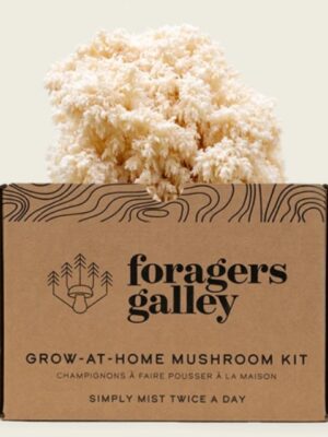 Forager's Galley Bear's Tooth Mushroom Kit