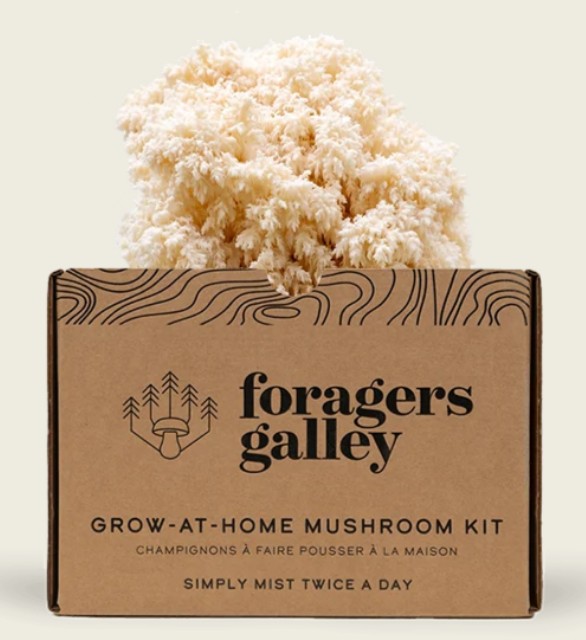 Forager's Galley Bear's Tooth Mushroom Kit