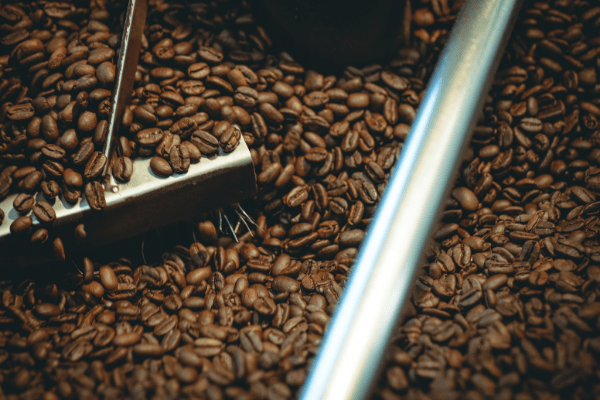 coffee bean roasts The cooling tray of the coffee roaster full of beans